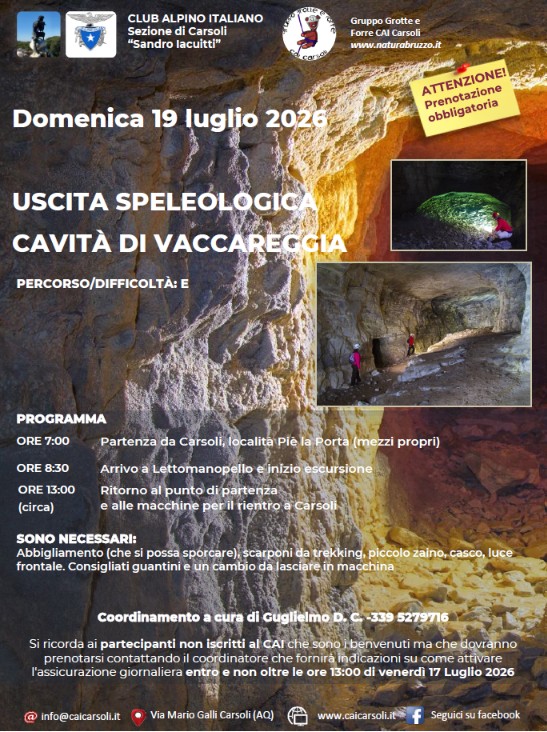 vaccareggia.jpg